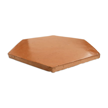 Pressed Terracotta Red Hexagon 12"