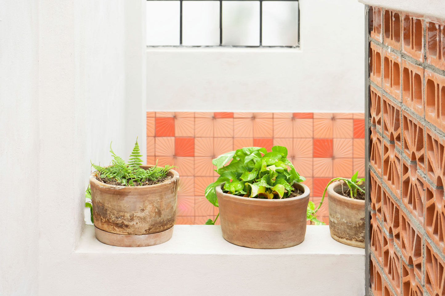 Oaxaca Terracotta Planters