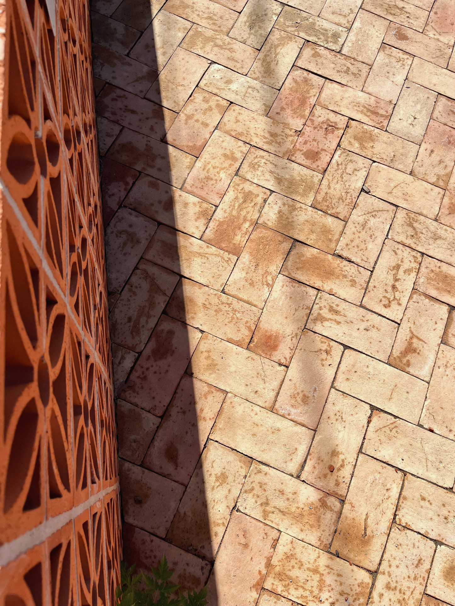 Terracotta Brick Paver 6"x12"x2"