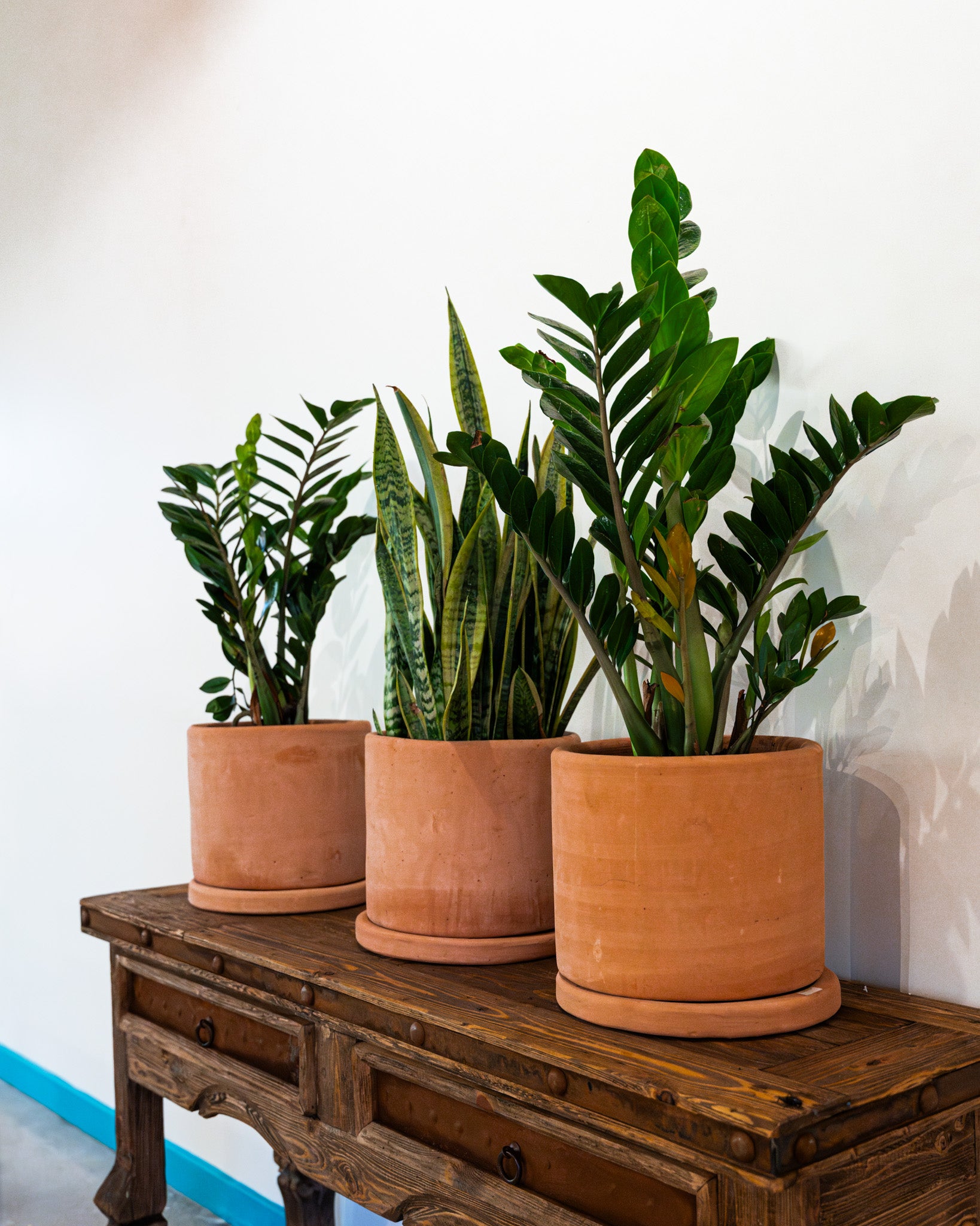 Oaxaca Terracotta Planters product image