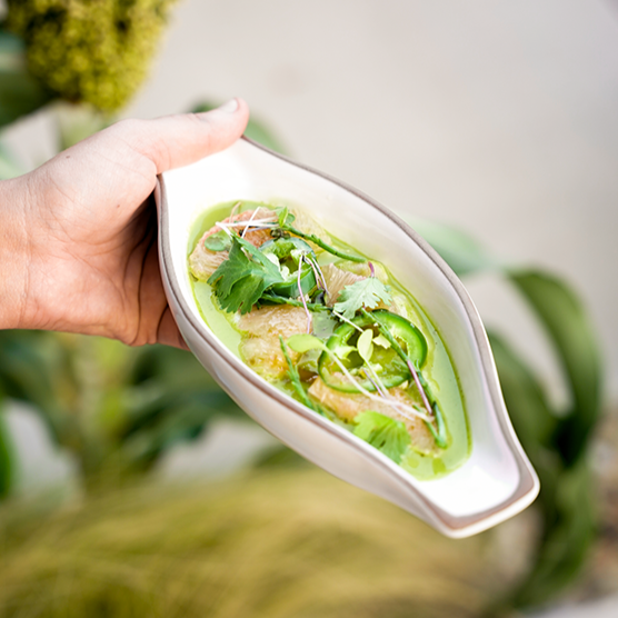 Ceviche Dish by Kati Luedecke product image