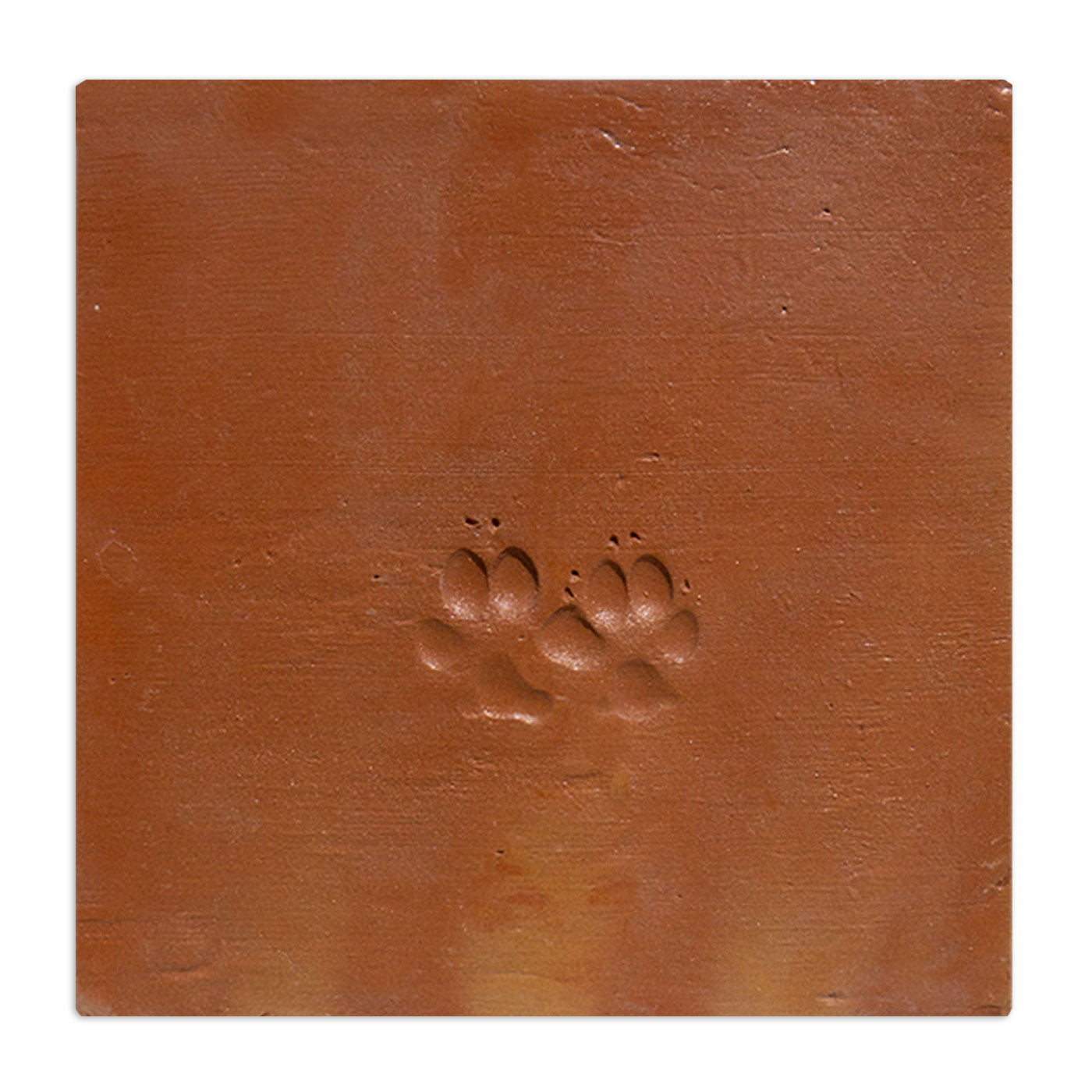 Dog Paw | Chicken Foot Terracotta 12" x 12"