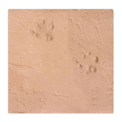 Dog Paw | Chicken Foot Terracotta 12" x 12"