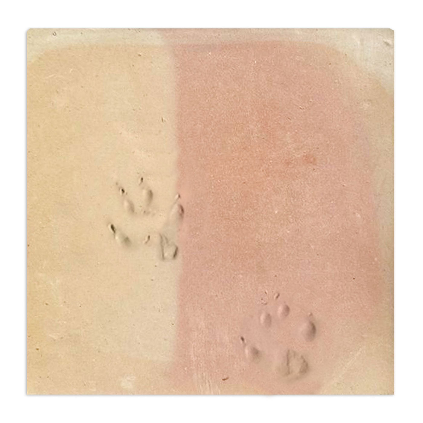 Dog Paw | Chicken Foot Terracotta 12" x 12"